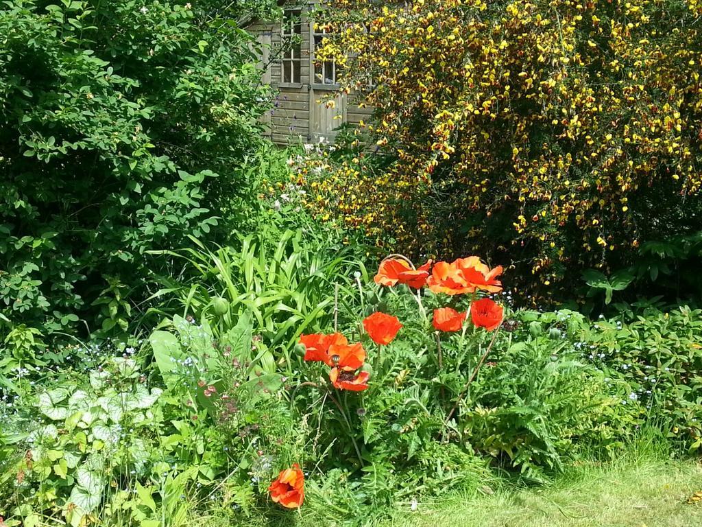 Field View B&B Eastrington Exterior photo